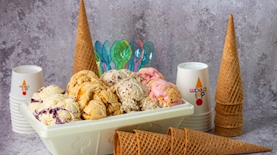 דלי קרים, צילום: דלי קרים